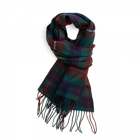 картинка Clans of Scotland Fraser Hunting от магазина  Mykilt
